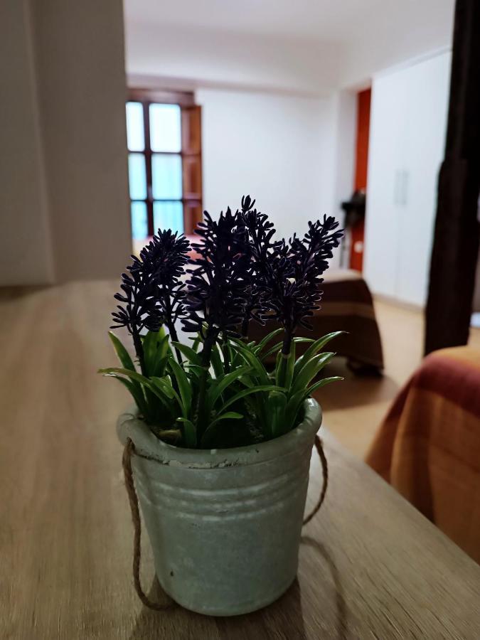 Corrala De San Anton. Sencillo Apartamento En Pleno Centro Granada Esterno foto